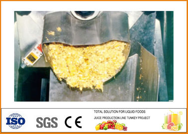 China Industrielle Ananas-Produktlinie 15T/H schließen CFM-B-02-15T ab fournisseur