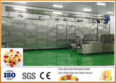 China Bescheinigung der Obst- und GemüseTrockenfrüchte-Fertigungsstraße-ISO9001 fournisseur