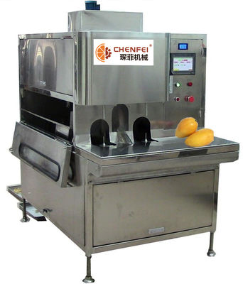 Kompaktbauweise-Mango-Produktlinie-Pasten-Produktlinie 5 Tonnen pro Tag