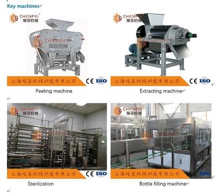 Coustom-Granatapfel-Saft-Fertigungsstraße 5T/Zertifikat H ISO9001